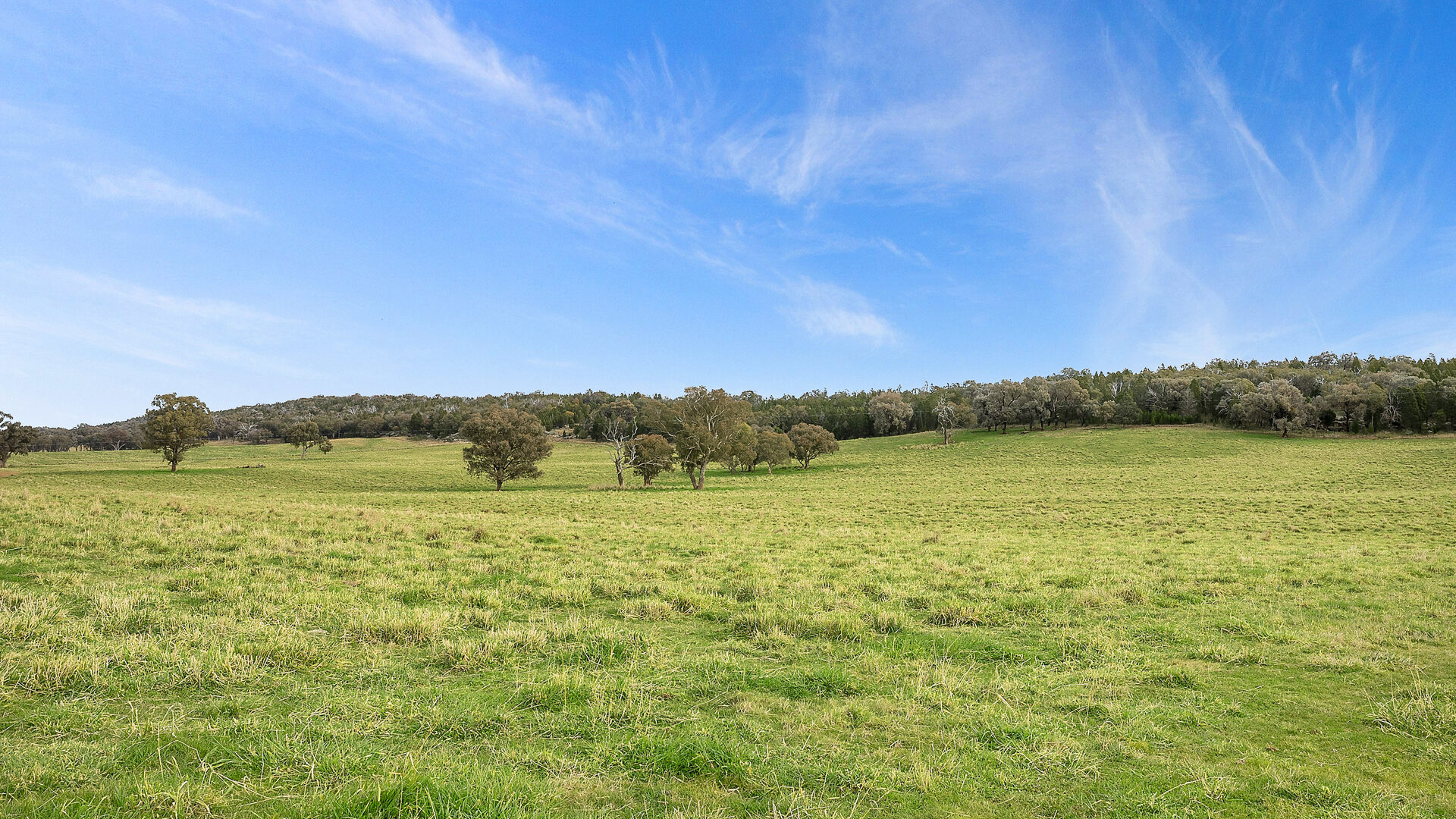Sold - 687 Peabody Road - New Property in Molong - Real Estate by Scott Petersen