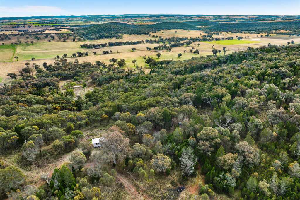 Sold - 687 Peabody Road - New Property in Molong - Real Estate by Scott Petersen