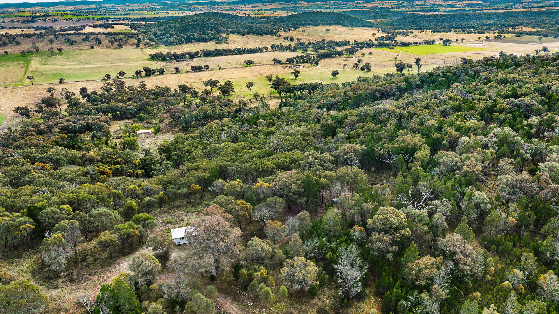 Sold - 687 Peabody Road - New Property in Molong - Real Estate by Scott Petersen