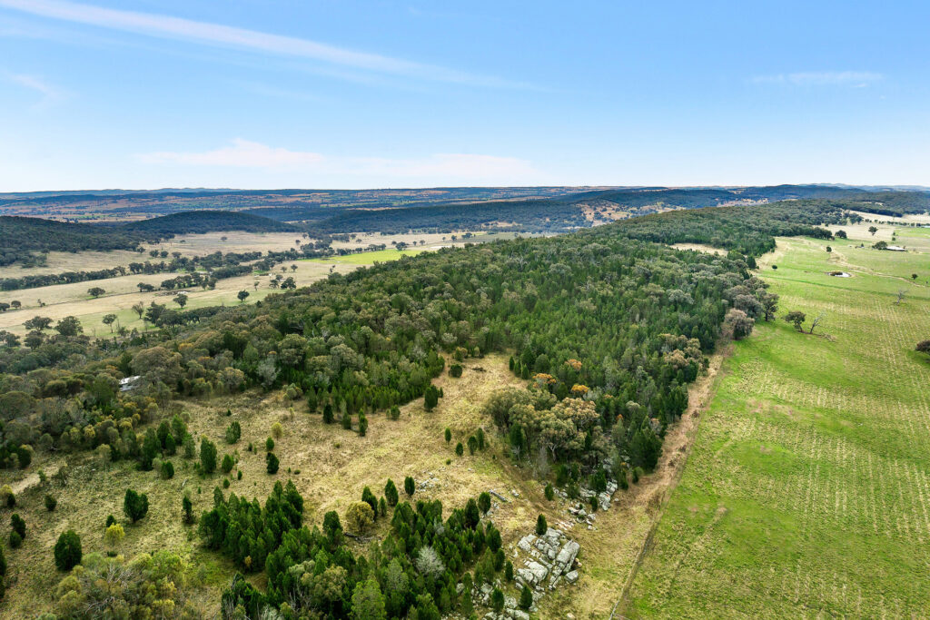 Sold - 687 Peabody Road - New Property in Molong - Real Estate by Scott Petersen