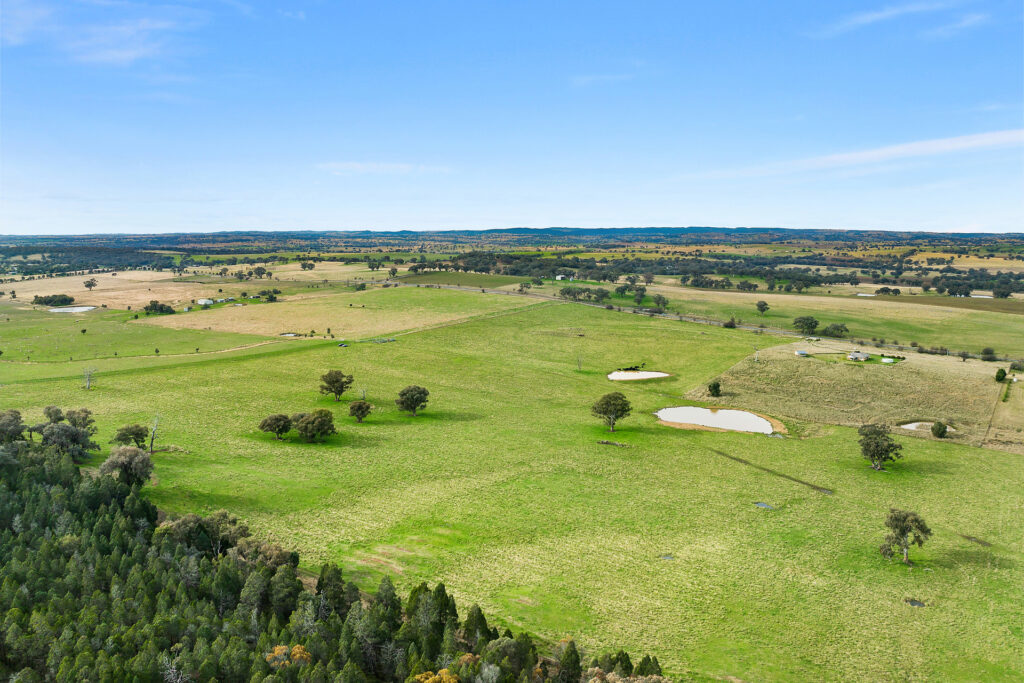Sold - 687 Peabody Road - New Property in Molong - Real Estate by Scott Petersen