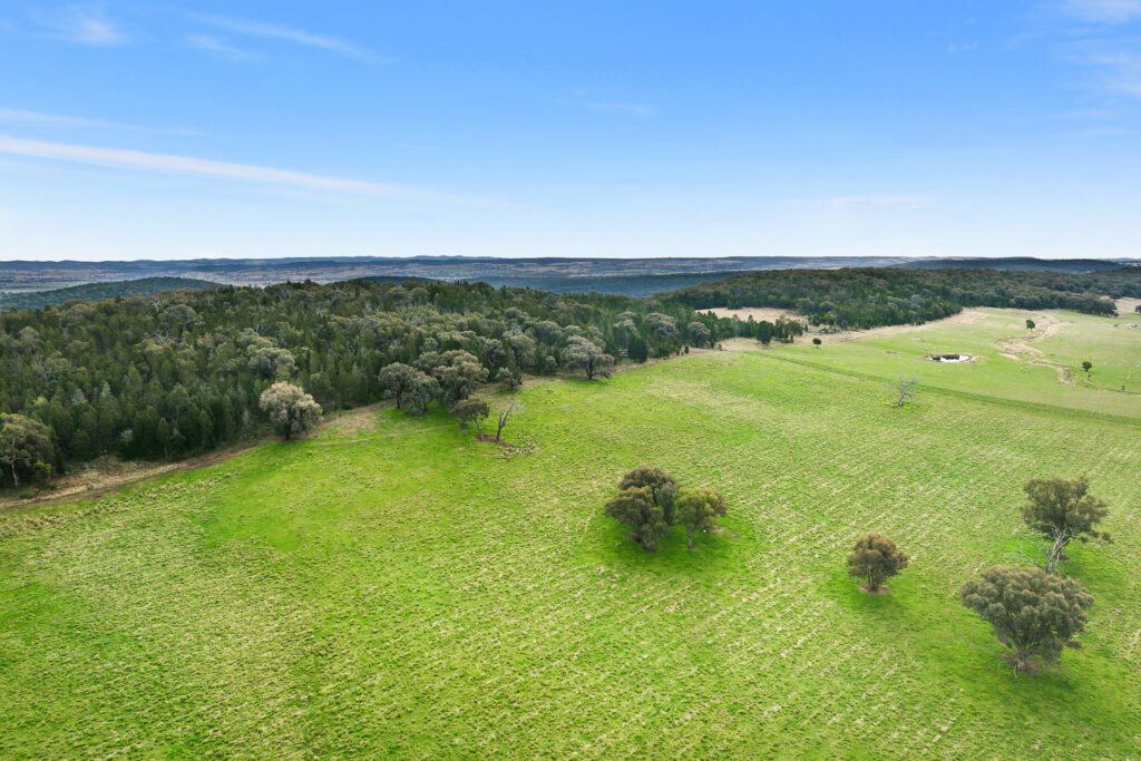 Sold - 687 Peabody Road - New Property in Molong - Real Estate by Scott Petersen