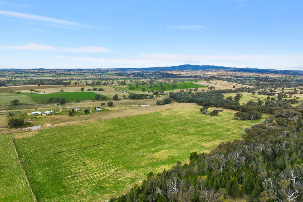 Sold - 687 Peabody Road - New Property in Molong - Real Estate by Scott Petersen
