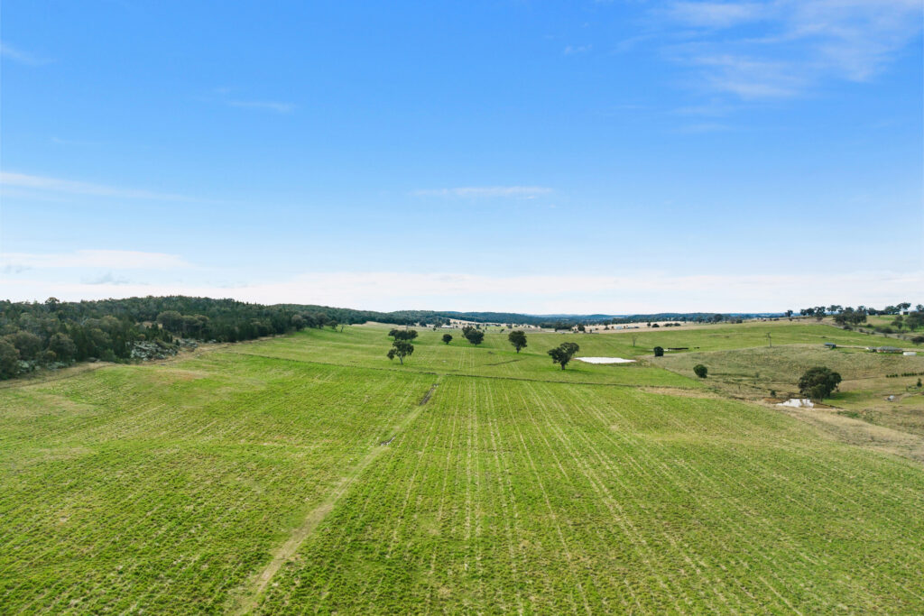 Sold - 687 Peabody Road - New Property in Molong - Real Estate by Scott Petersen