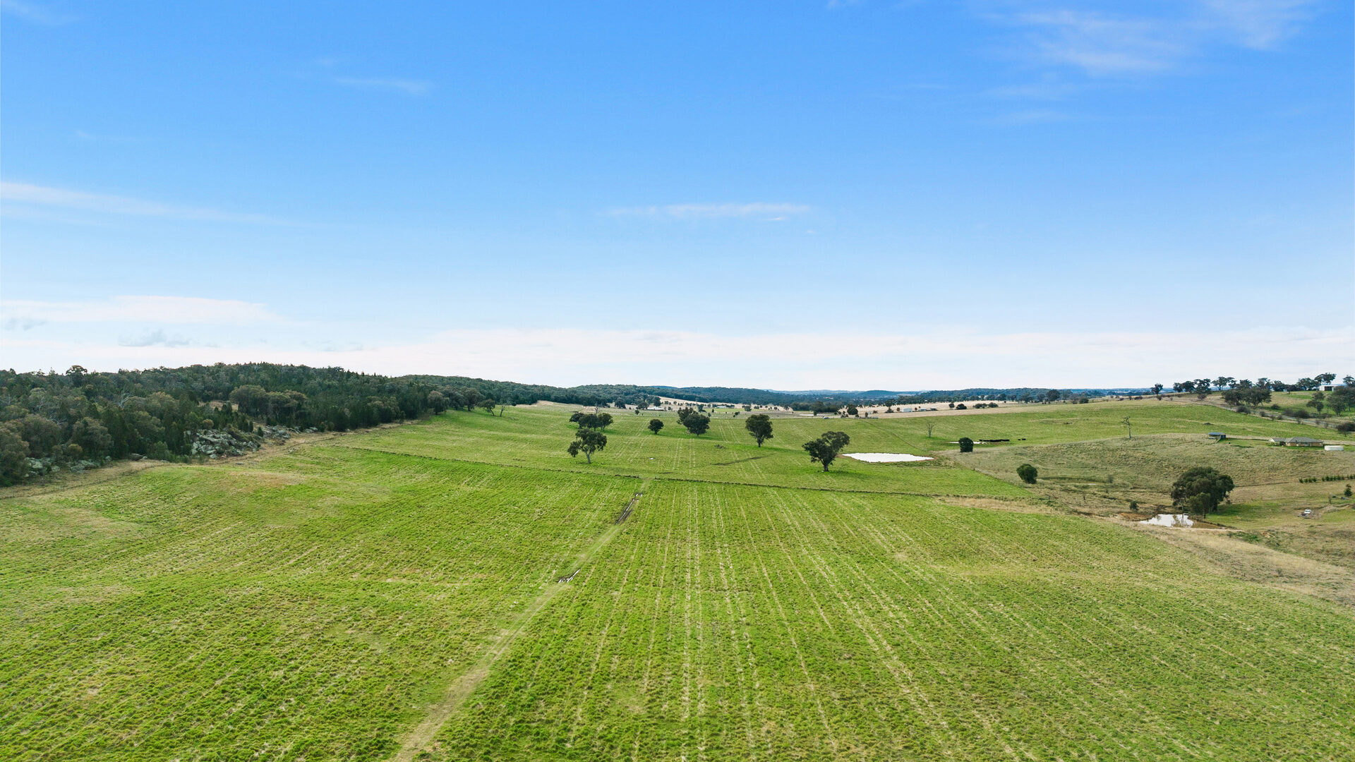 Sold - 687 Peabody Road - New Property in Molong - Real Estate by Scott Petersen