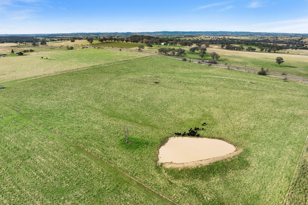 Sold - 687 Peabody Road - New Property in Molong - Real Estate by Scott Petersen
