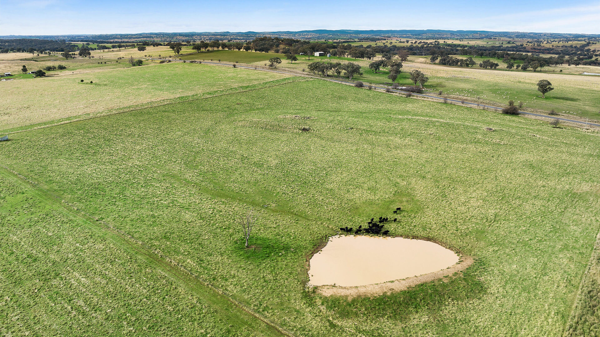 Sold - 687 Peabody Road - New Property in Molong - Real Estate by Scott Petersen