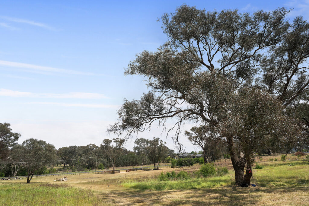 For Sale - 39 Queen Street - New Property in Molong - Real Estate by Scott Petersen