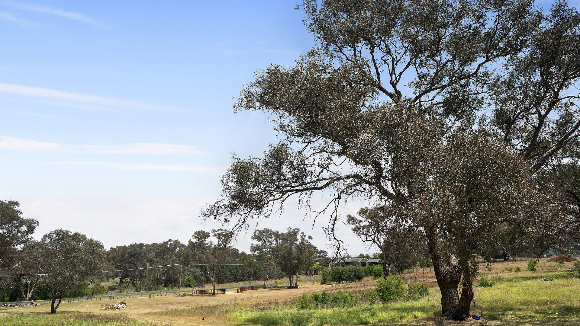 For Sale - 39 Queen Street - New Property in Molong - Real Estate by Scott Petersen