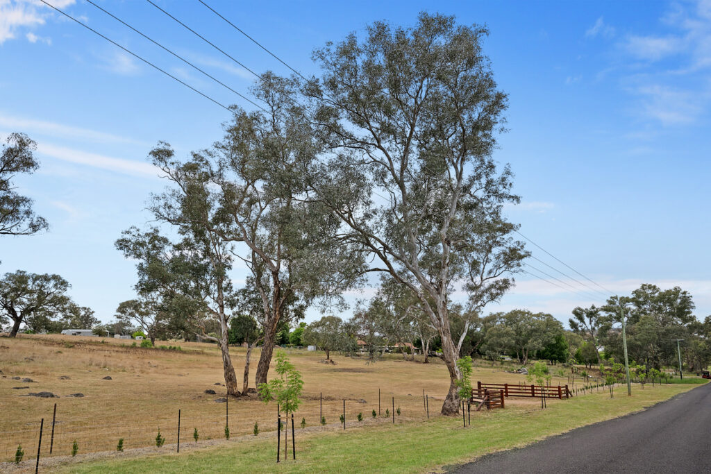 For Sale - 39 Queen Street - New Property in Molong - Real Estate by Scott Petersen