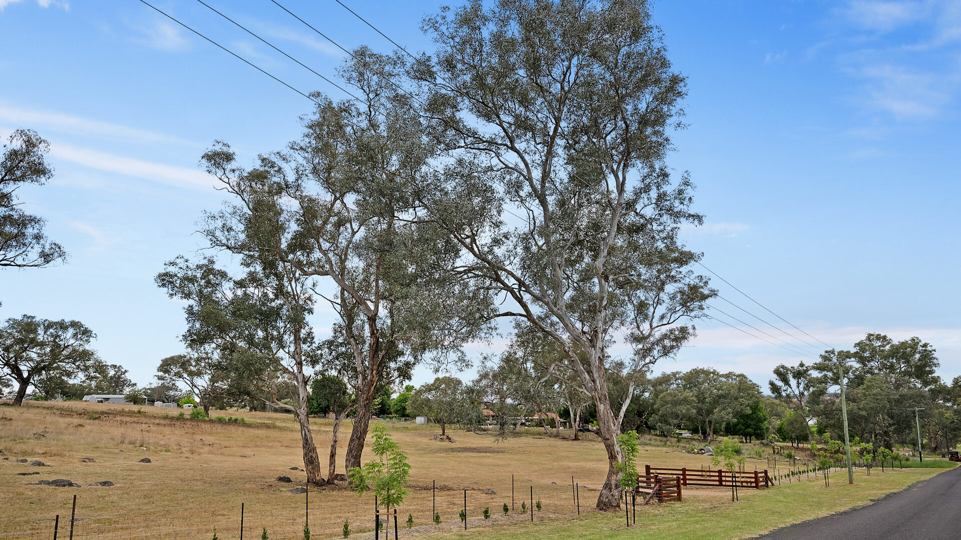 For Sale - 39 Queen Street - New Property in Molong - Real Estate by Scott Petersen