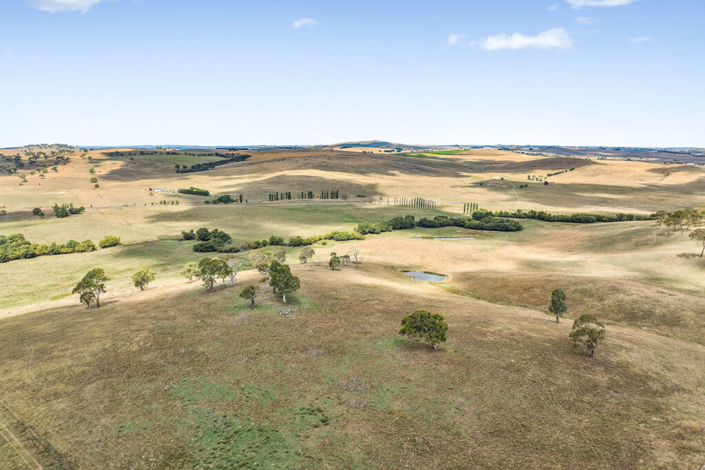 Sold - 140 Guyong Road - New Property in Blayney - Real Estate by Scott Petersen