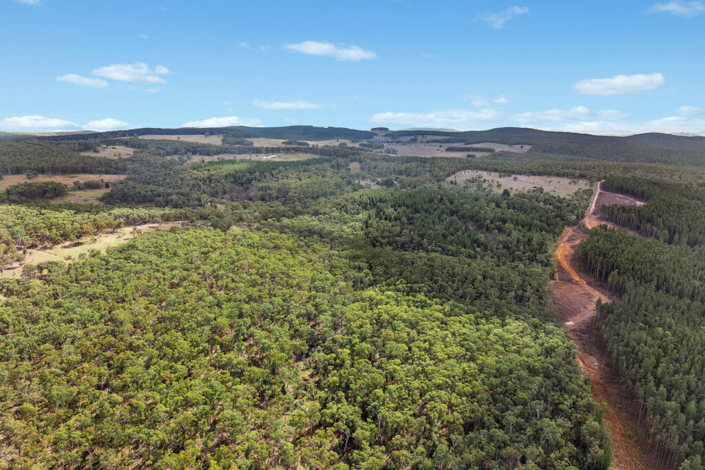 Sold - 473 Lookout Road - New Property in Mullion Creek - Real Estate by Scott Petersen