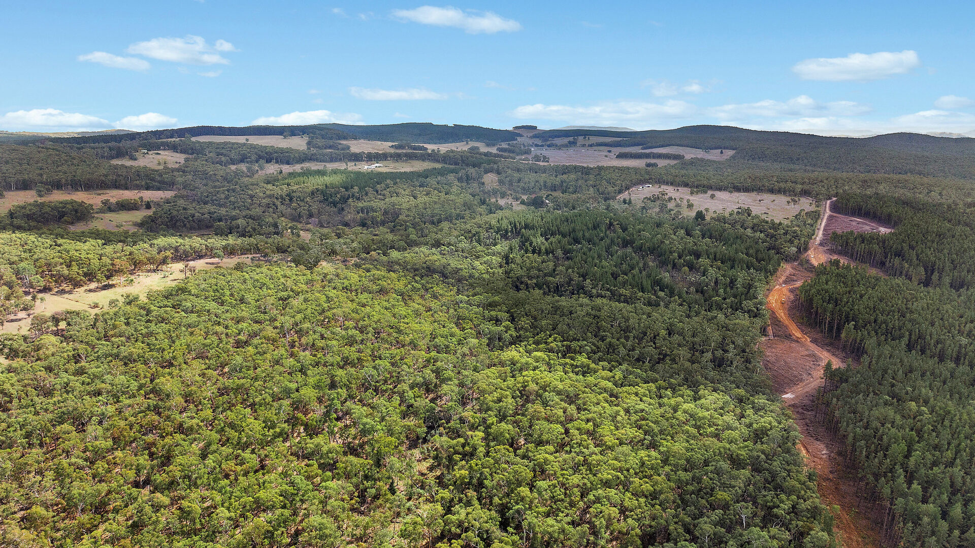 Sold - 473 Lookout Road - New Property in Mullion Creek - Real Estate by Scott Petersen