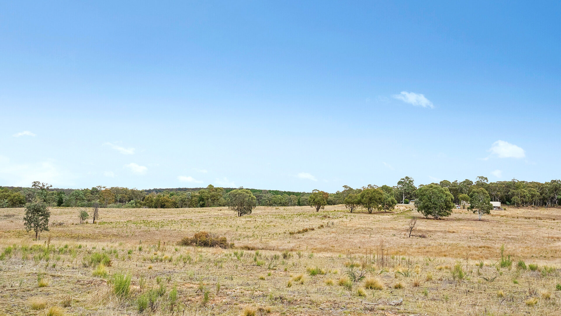 Sold - 473 Lookout Road - New Property in Mullion Creek - Real Estate by Scott Petersen