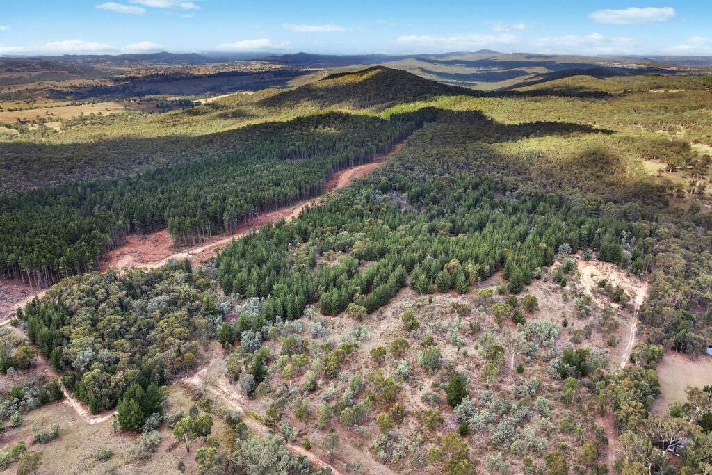 Sold - 473 Lookout Road - New Property in Mullion Creek - Real Estate by Scott Petersen