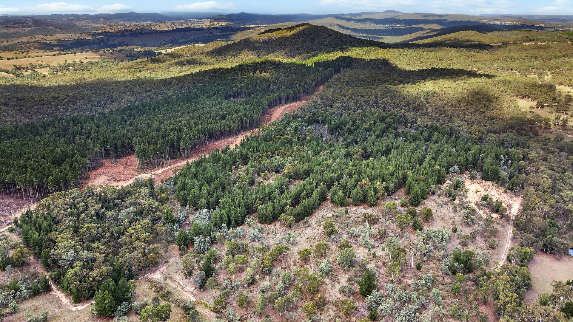 Sold - 473 Lookout Road - New Property in Mullion Creek - Real Estate by Scott Petersen