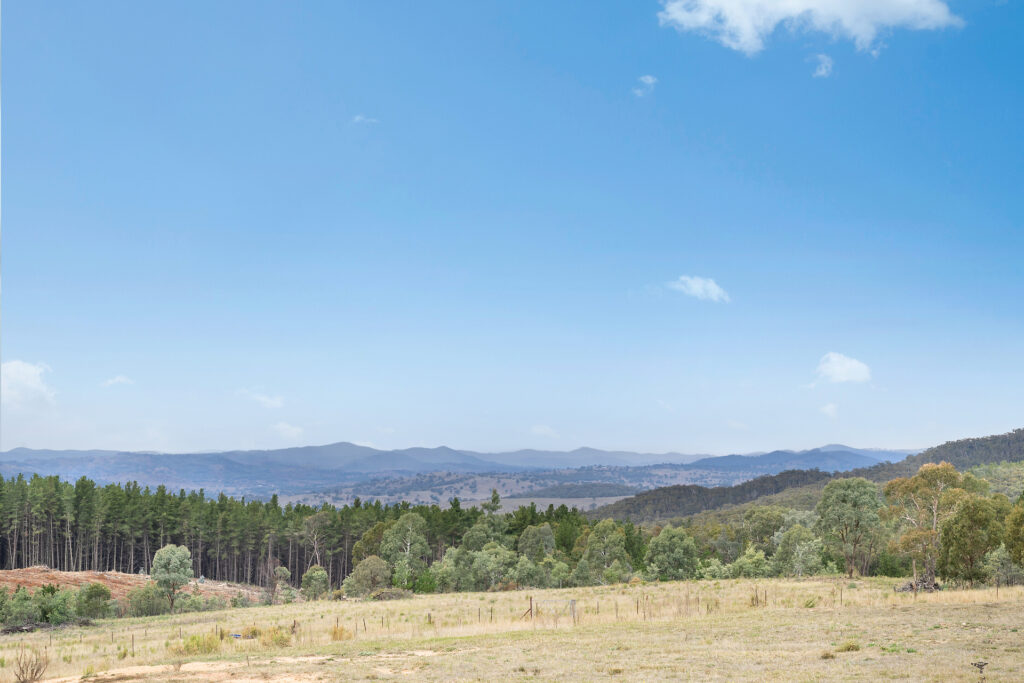 Sold - 473 Lookout Road - New Property in Mullion Creek - Real Estate by Scott Petersen