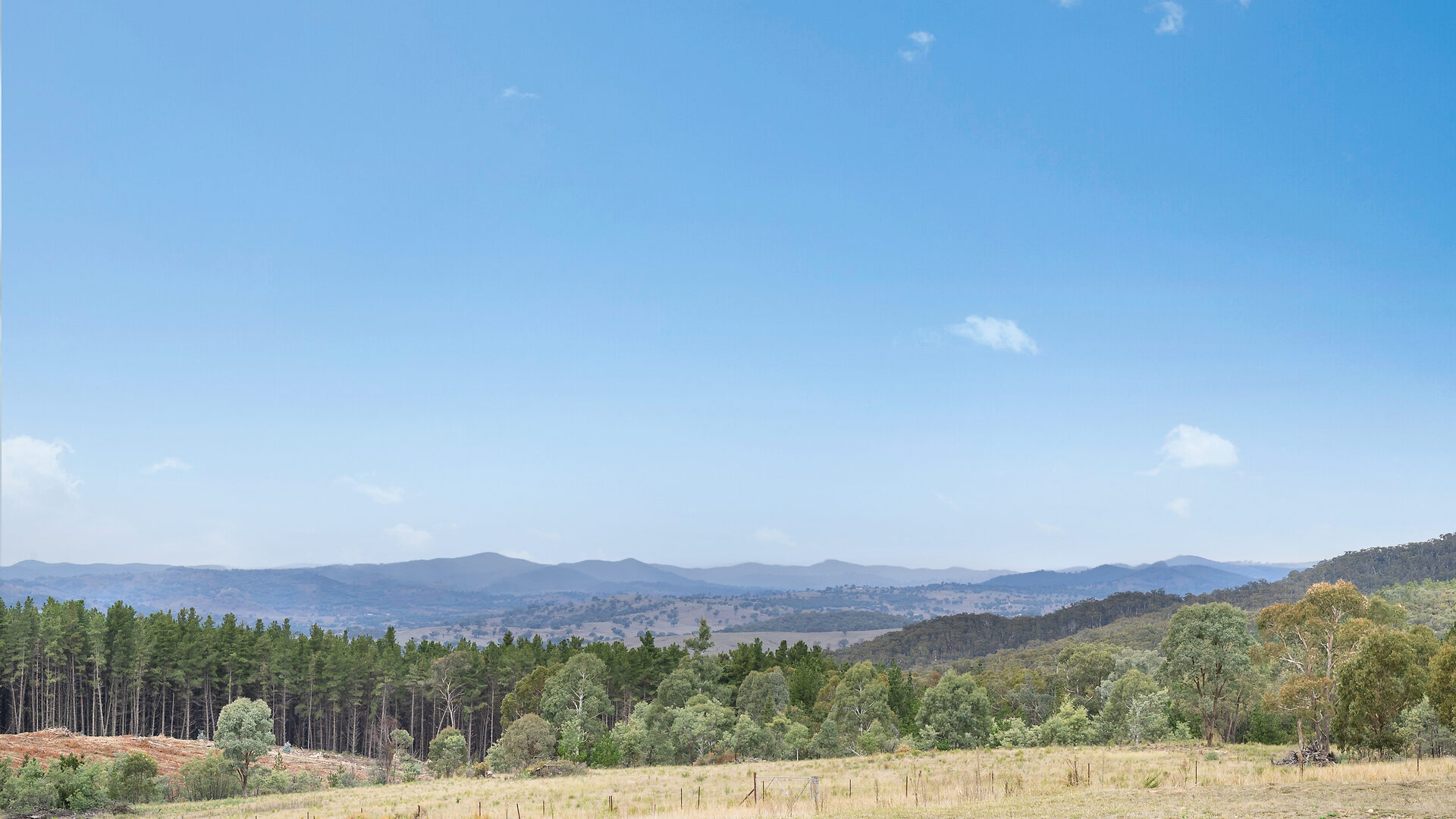 Sold - 473 Lookout Road - New Property in Mullion Creek - Real Estate by Scott Petersen
