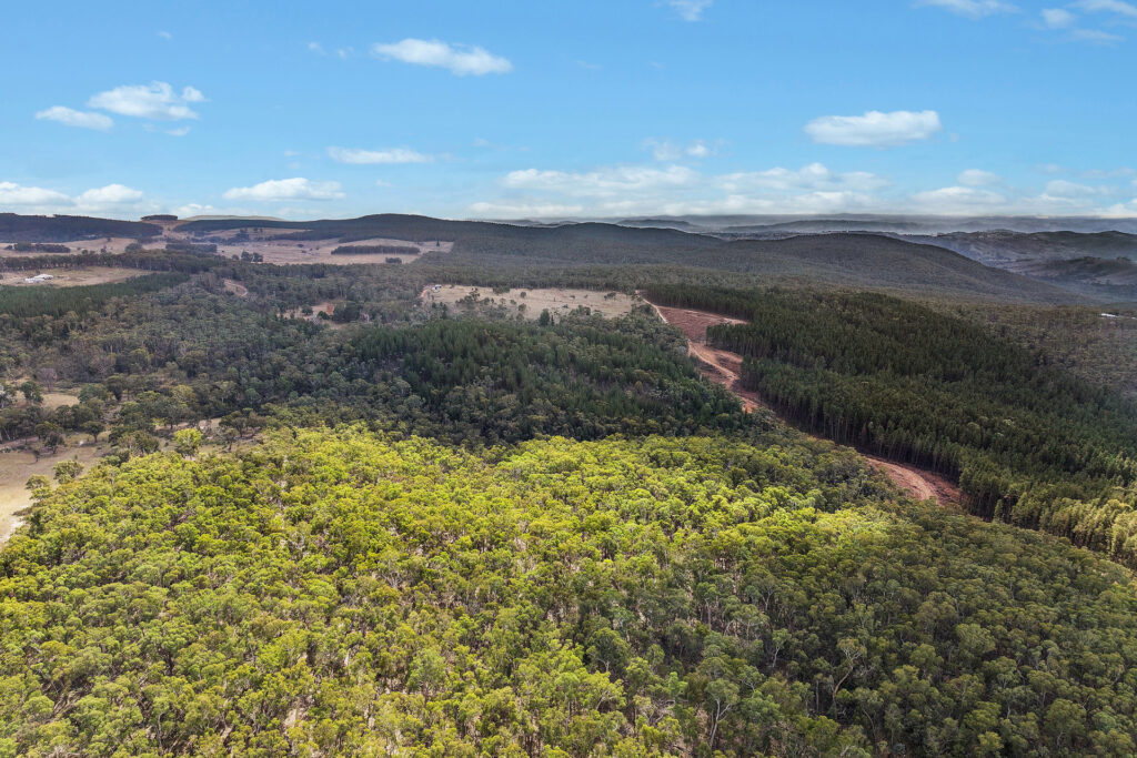 Sold - 473 Lookout Road - New Property in Mullion Creek - Real Estate by Scott Petersen