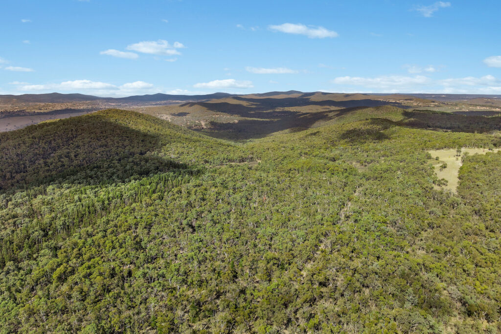 Sold - 473 Lookout Road - New Property in Mullion Creek - Real Estate by Scott Petersen