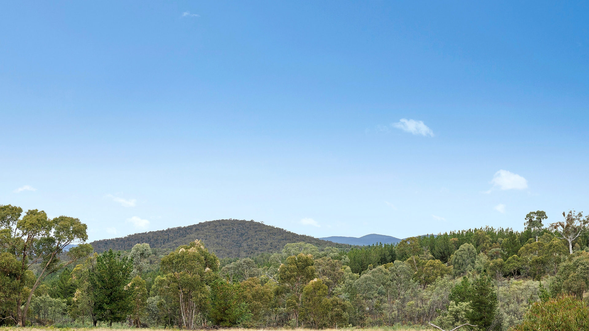 Sold - 473 Lookout Road - New Property in Mullion Creek - Real Estate by Scott Petersen