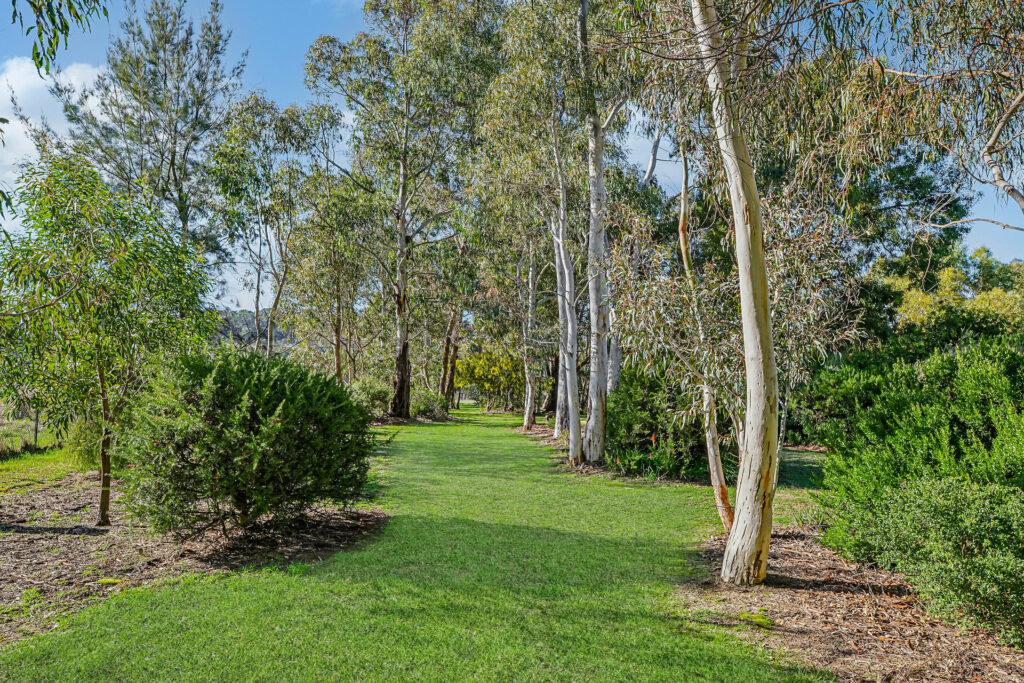 Sold - 86 Berrilee Road - New Property in Orange - Real Estate by Jack Aumuller
