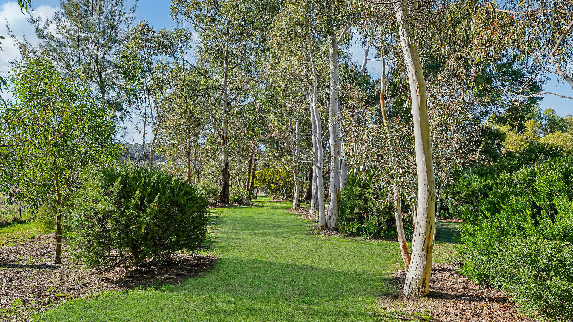 Sold - 86 Berrilee Road - New Property in Orange - Real Estate by Jack Aumuller