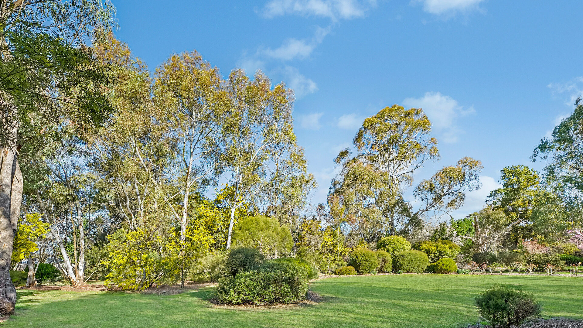 Sold - 86 Berrilee Road - New Property in Orange - Real Estate by Jack Aumuller