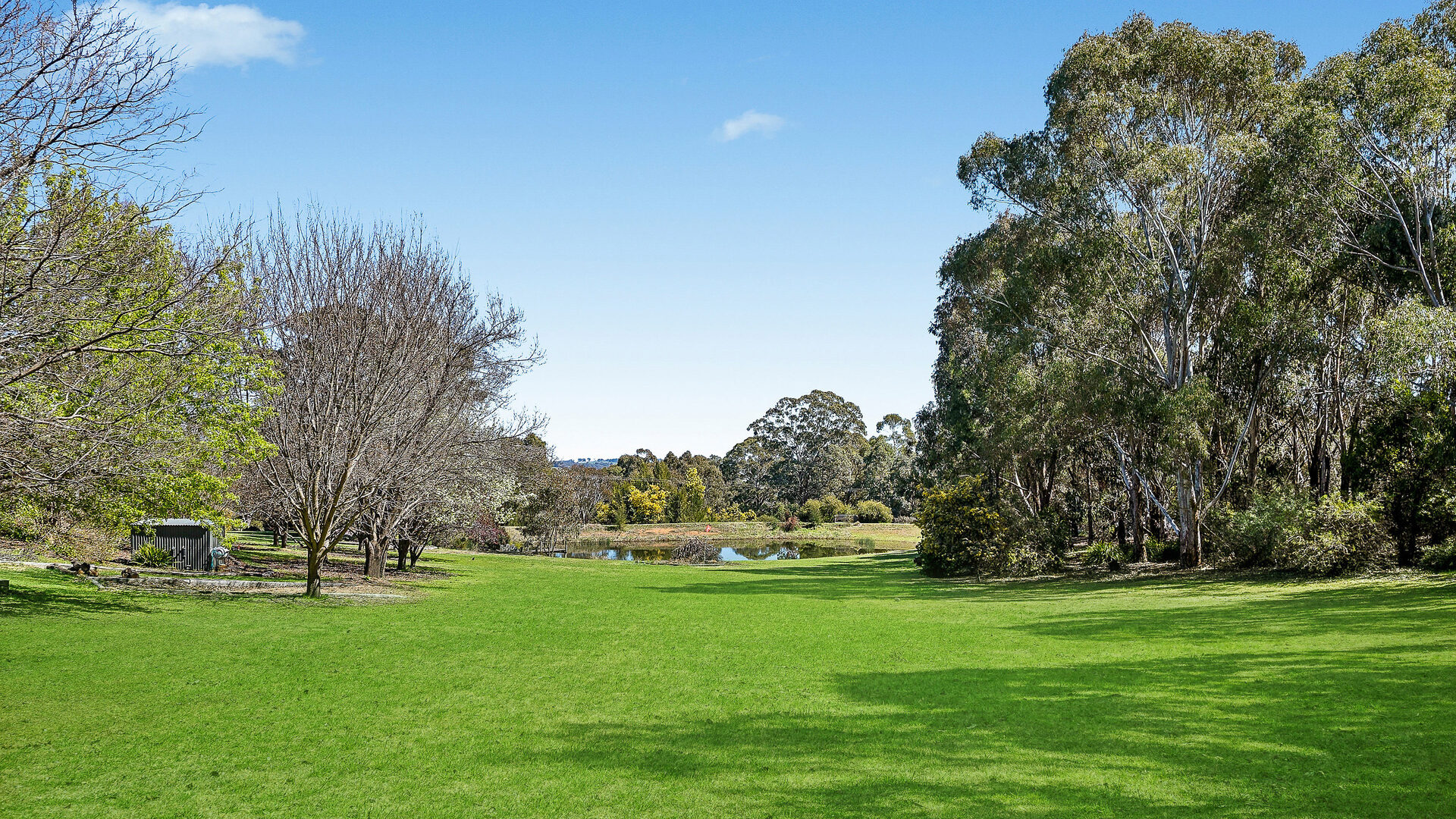 Sold - 51 Lakes Avenue - New Property in Orange - Real Estate by Scott Petersen