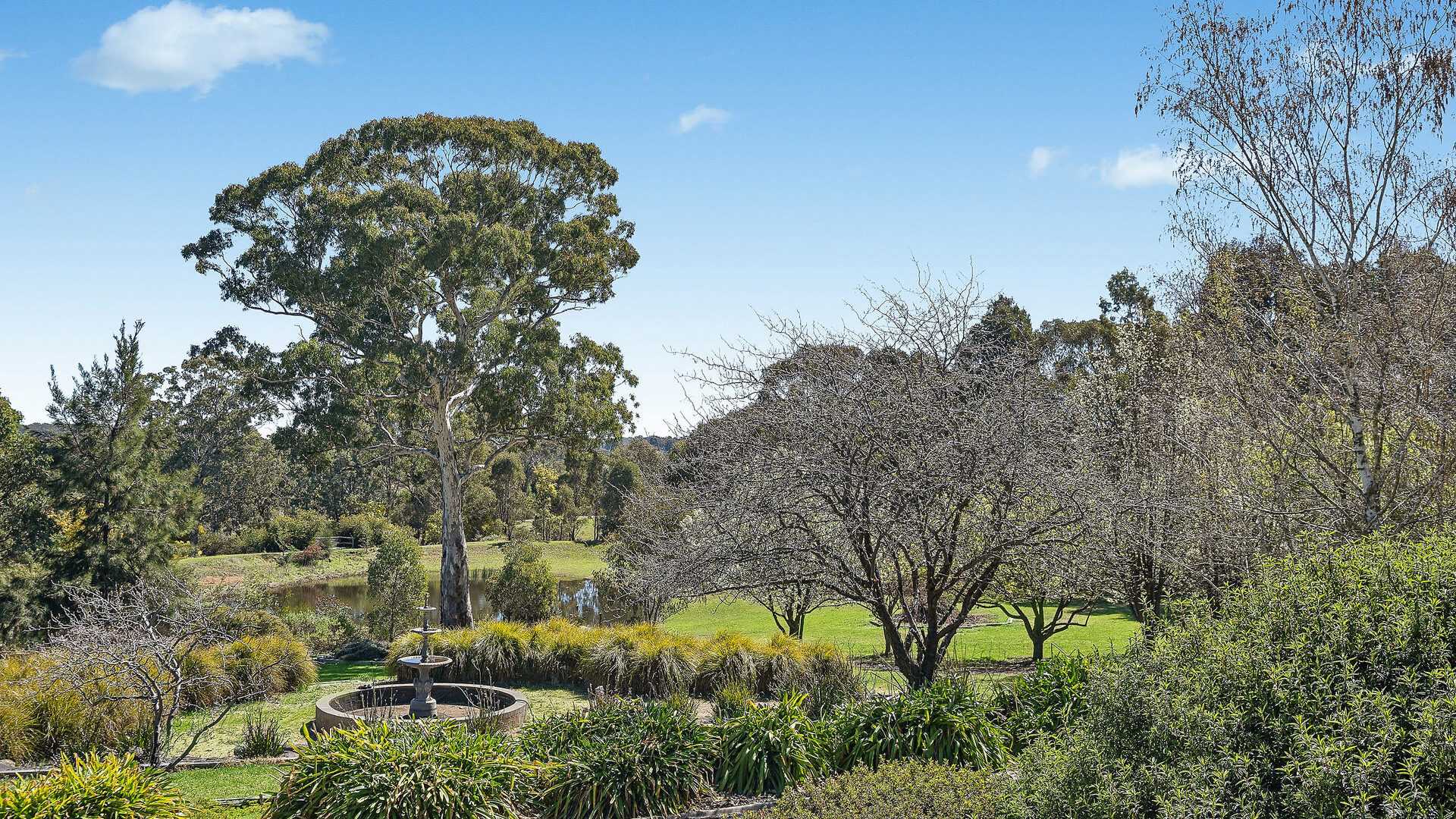 Sold - 51 Lakes Avenue - New Property in Orange - Real Estate by Scott Petersen