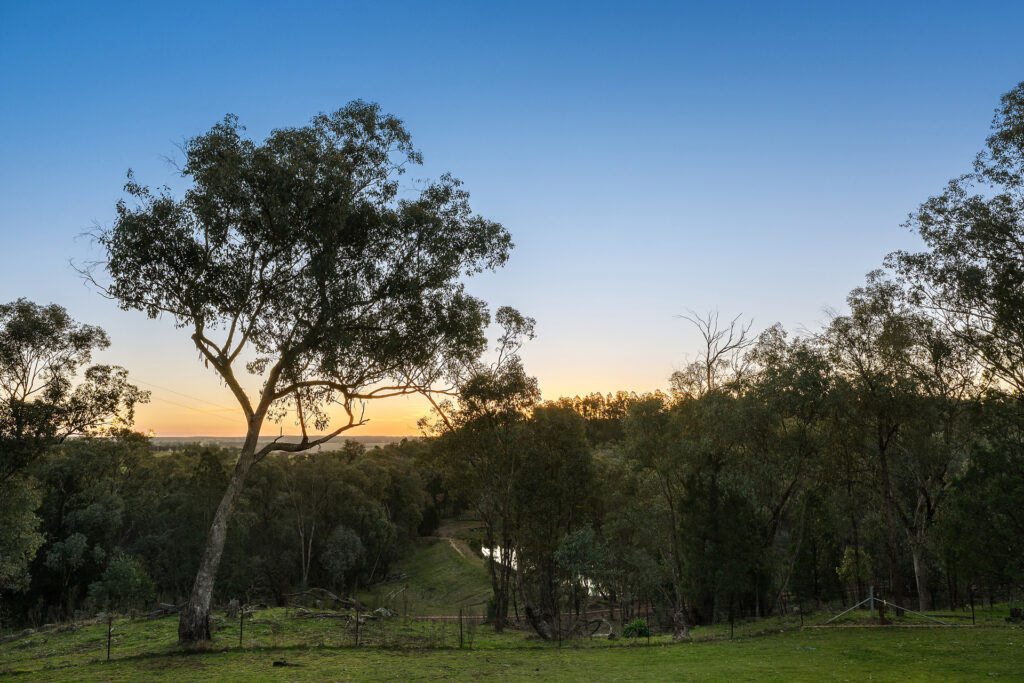 Sold - 502 Banjo Paterson Way - New Property in Molong - Real Estate by Jodi Murray