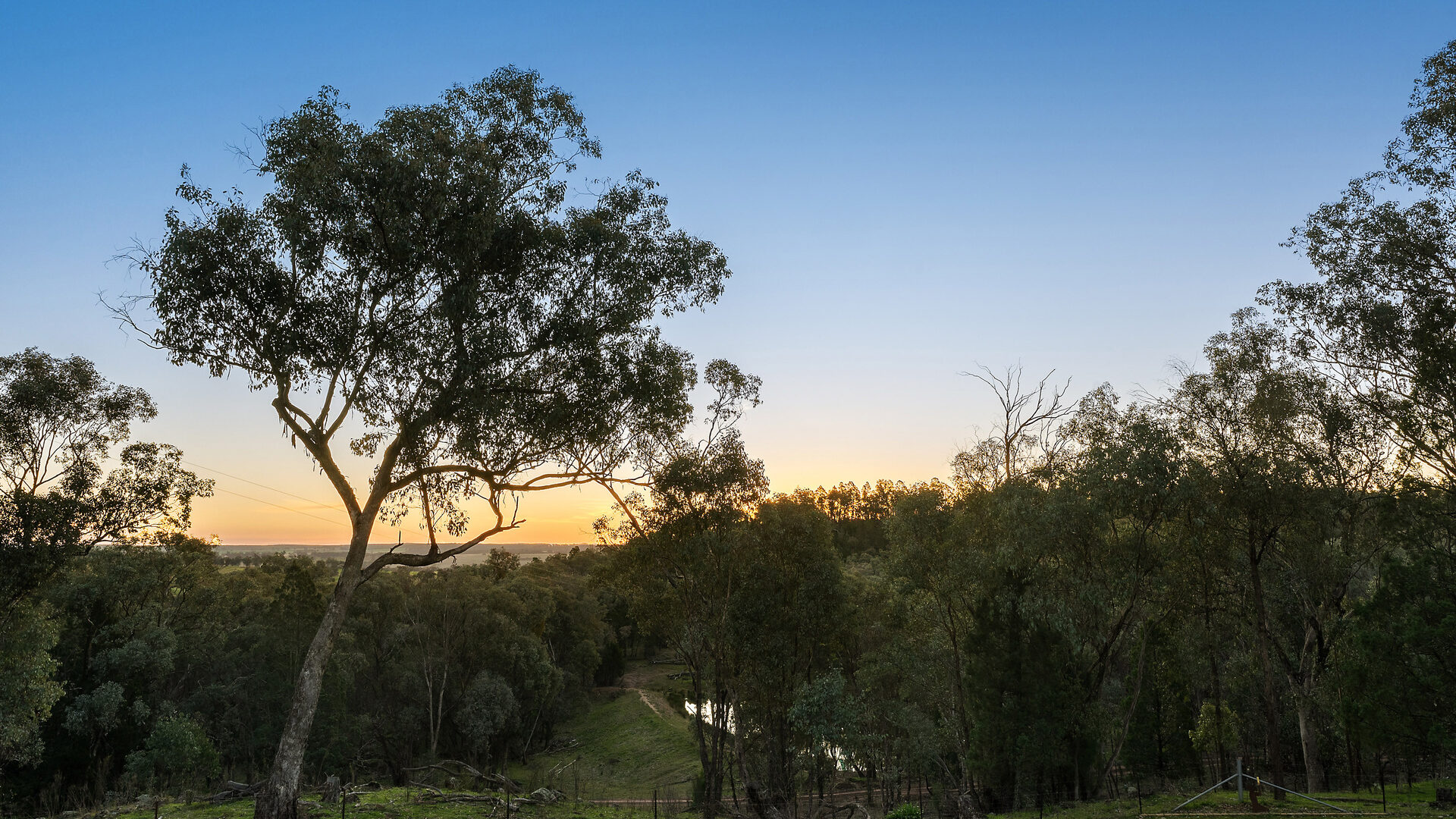 Sold - 502 Banjo Paterson Way - New Property in Molong - Real Estate by Jodi Murray