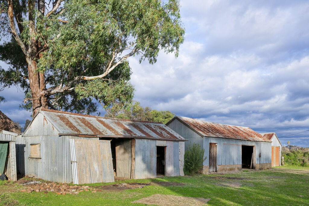 Sold - 54 Kinghorn Street - New Property in Neurea - Real Estate by Scott Petersen