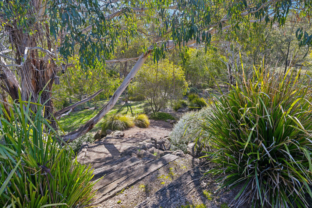 Sold - 465 Waldegrave Road - New Property in Forest Reefs - Real Estate by Scott Petersen