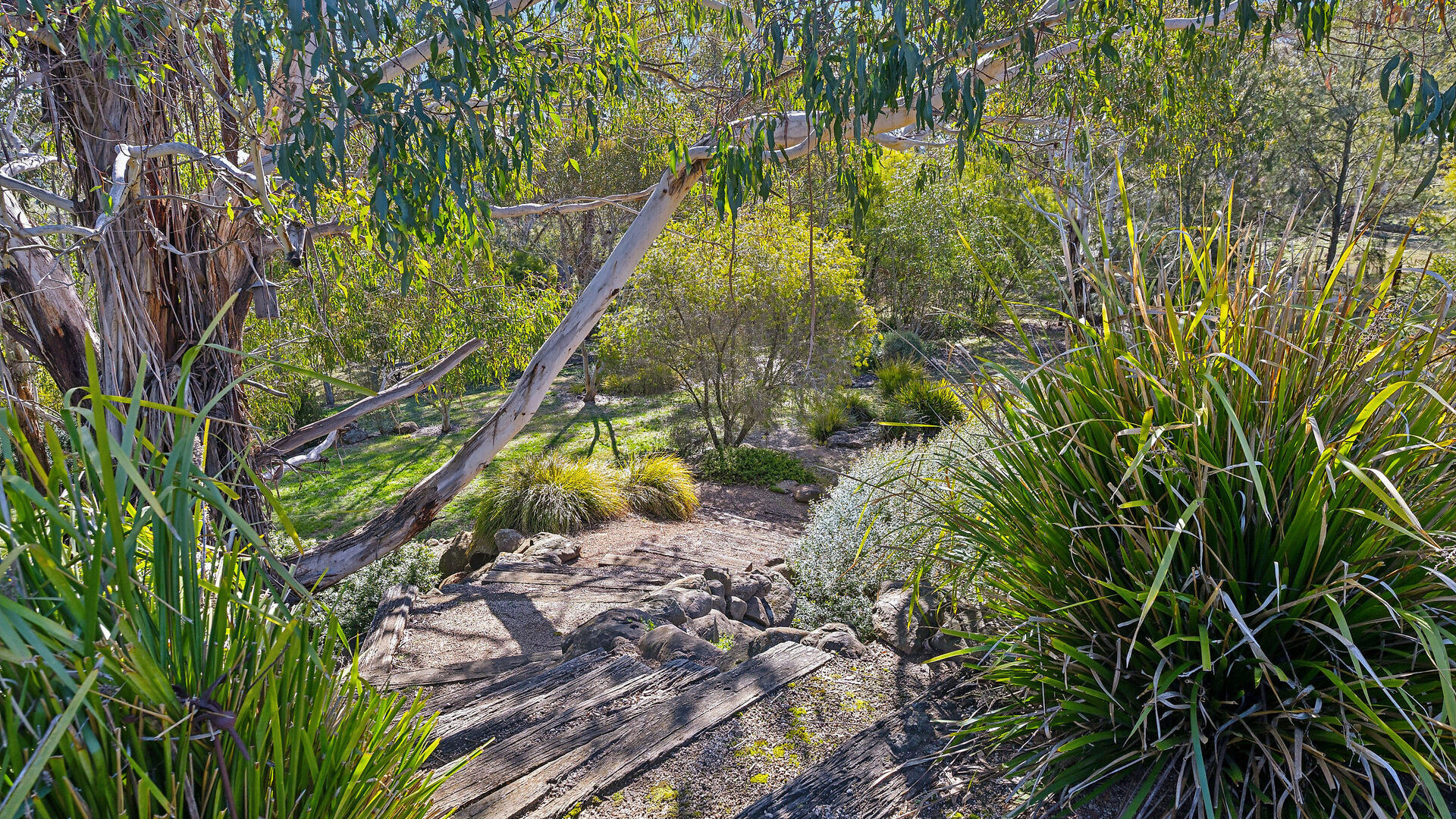 Sold - 465 Waldegrave Road - New Property in Forest Reefs - Real Estate by Scott Petersen