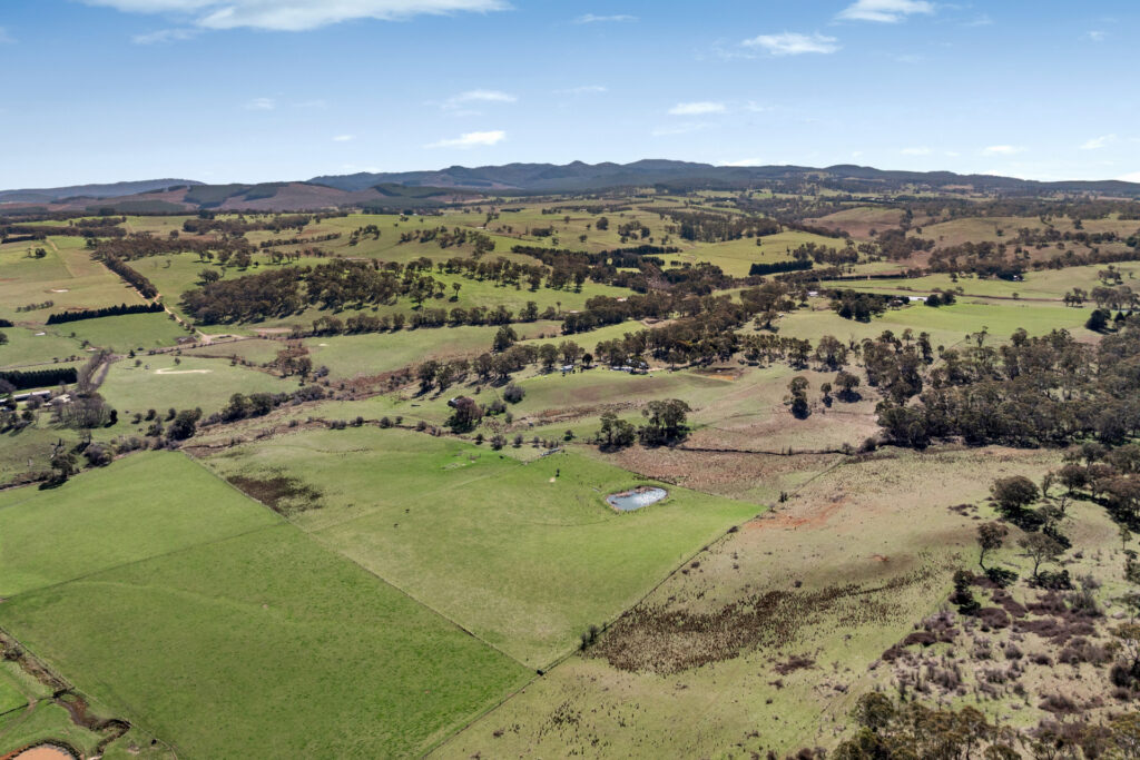 Sold - 465 Waldegrave Road - New Property in Forest Reefs - Real Estate by Scott Petersen