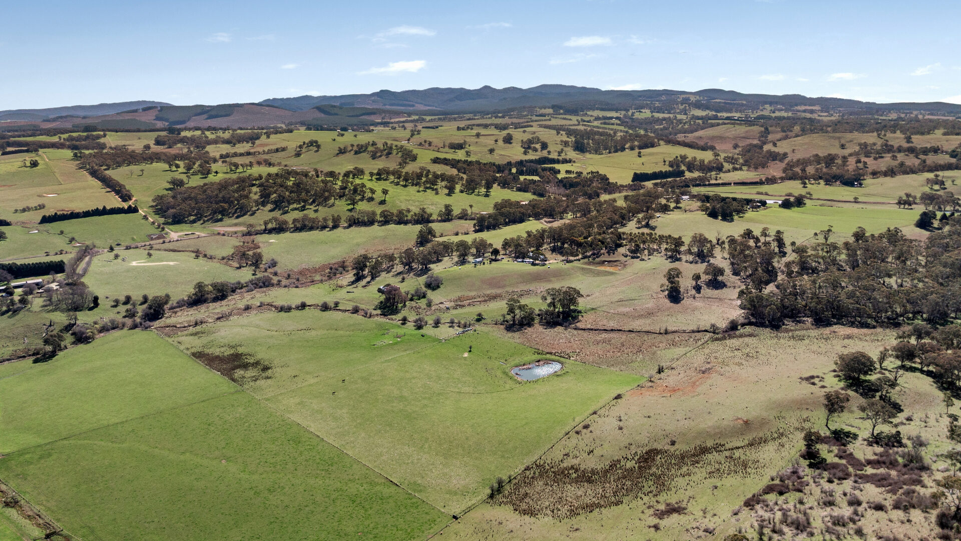 Sold - 465 Waldegrave Road - New Property in Forest Reefs - Real Estate by Scott Petersen