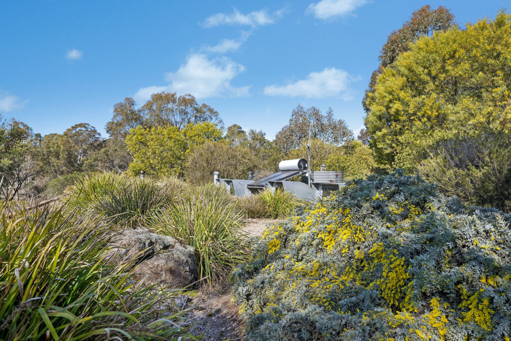 Sold - 465 Waldegrave Road - New Property in Forest Reefs - Real Estate by Scott Petersen