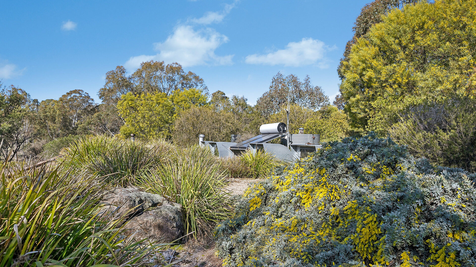 Sold - 465 Waldegrave Road - New Property in Forest Reefs - Real Estate by Scott Petersen