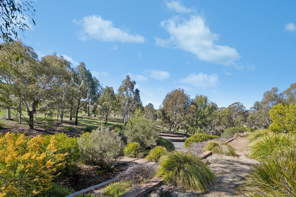 Sold - 465 Waldegrave Road - New Property in Forest Reefs - Real Estate by Scott Petersen