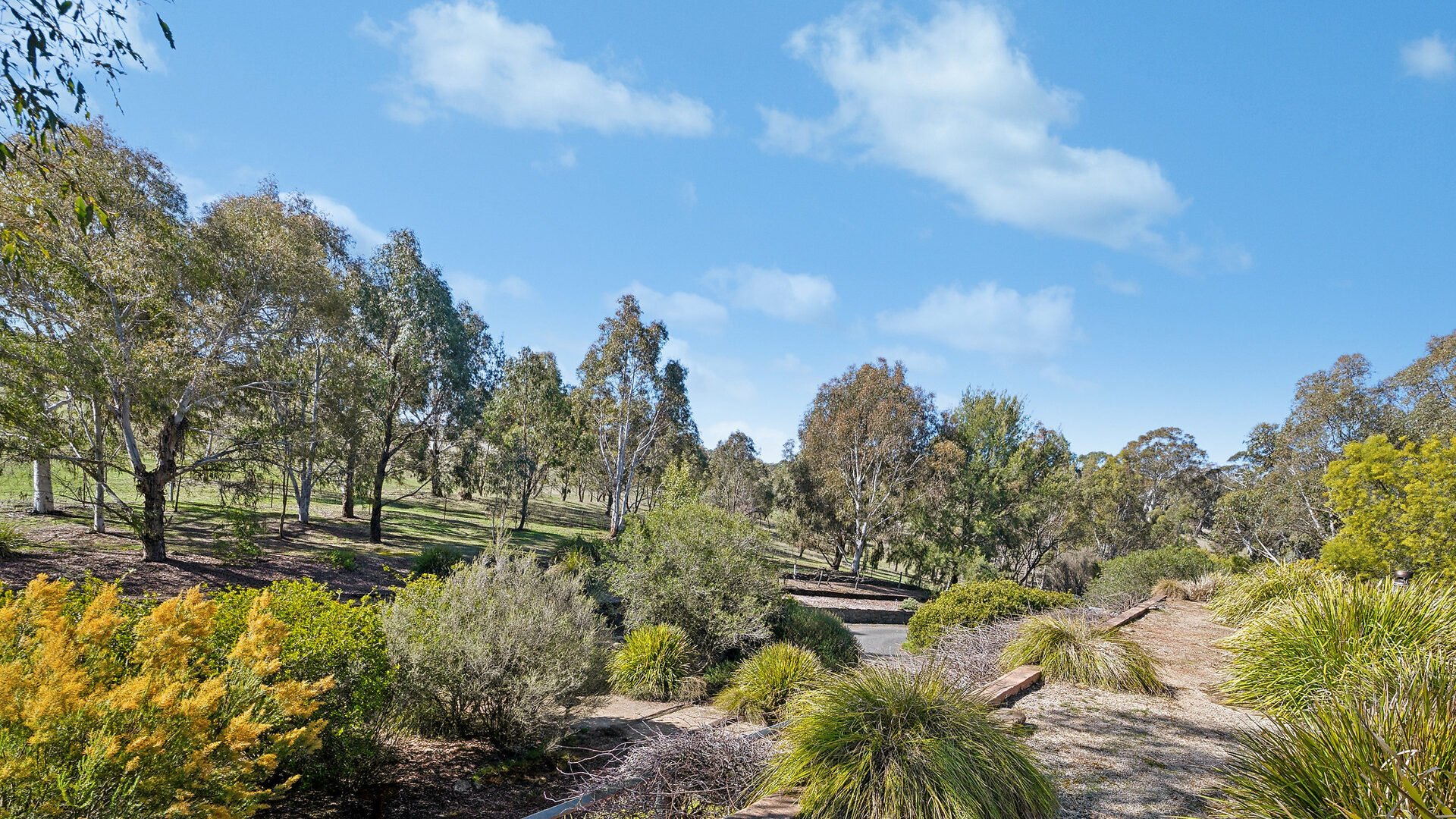 Sold - 465 Waldegrave Road - New Property in Forest Reefs - Real Estate by Scott Petersen
