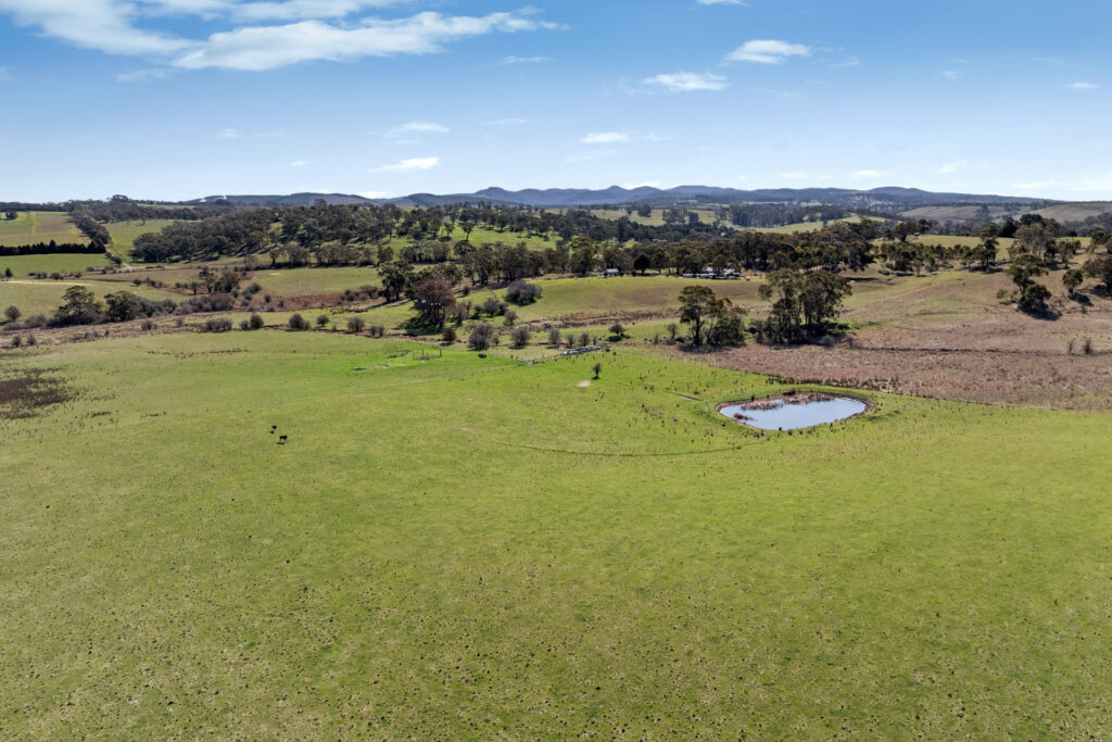 Sold - 465 Waldegrave Road - New Property in Forest Reefs - Real Estate by Scott Petersen