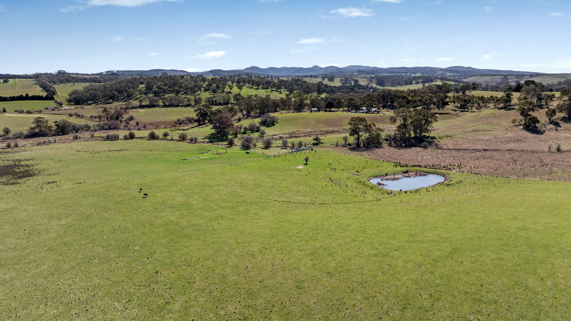 Sold - 465 Waldegrave Road - New Property in Forest Reefs - Real Estate by Scott Petersen