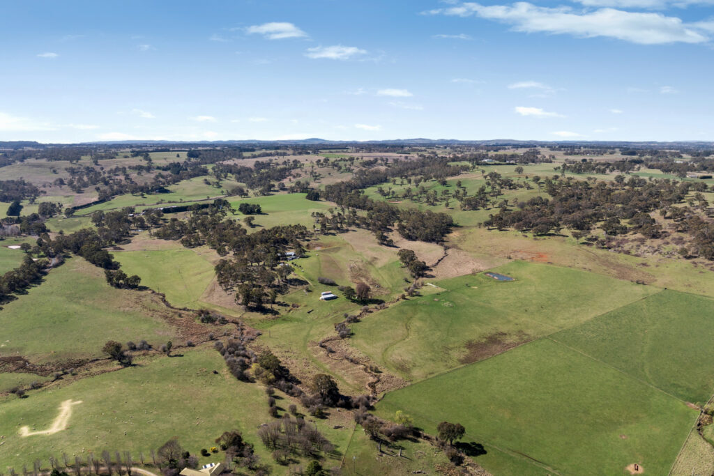 Sold - 465 Waldegrave Road - New Property in Forest Reefs - Real Estate by Scott Petersen