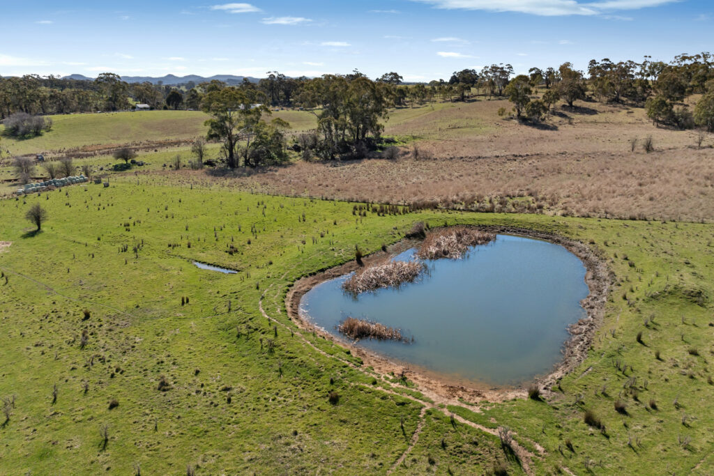 Sold - 465 Waldegrave Road - New Property in Forest Reefs - Real Estate by Scott Petersen