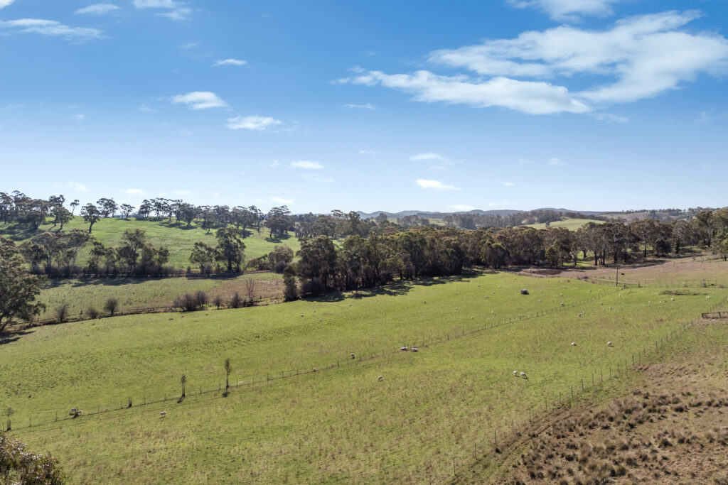 Sold - 465 Waldegrave Road - New Property in Forest Reefs - Real Estate by Scott Petersen
