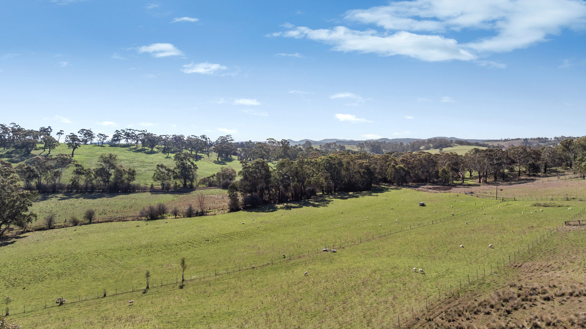 Sold - 465 Waldegrave Road - New Property in Forest Reefs - Real Estate by Scott Petersen