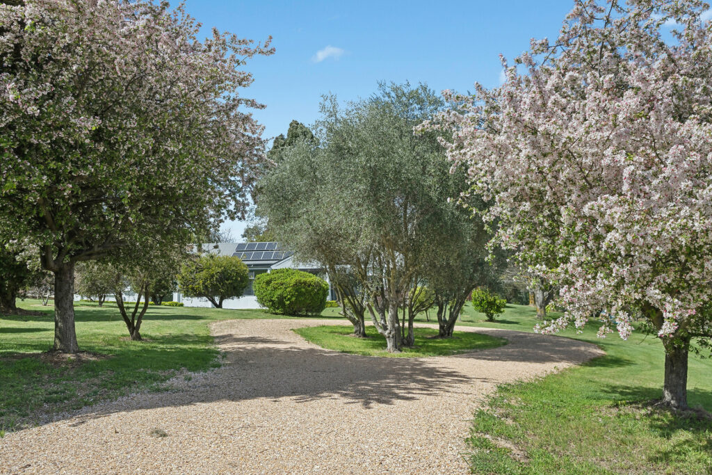 Sold - 8 Illamatta Way - New Property in Orange - Real Estate by Josh Fitzgerald