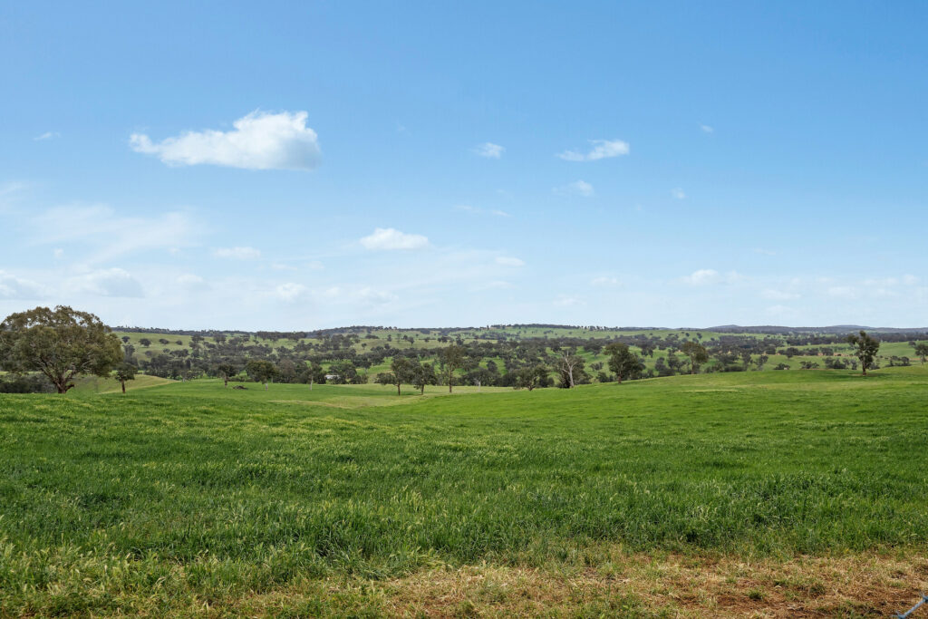 Sold - 5902 Mitchell Highway - New Property in Molong - Real Estate by Scott Petersen